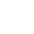 Canadian Flag icon